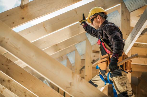 Roof Gutter Cleaning in Paloma Creek South, TX